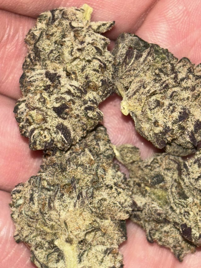 S'mores THCa Flower