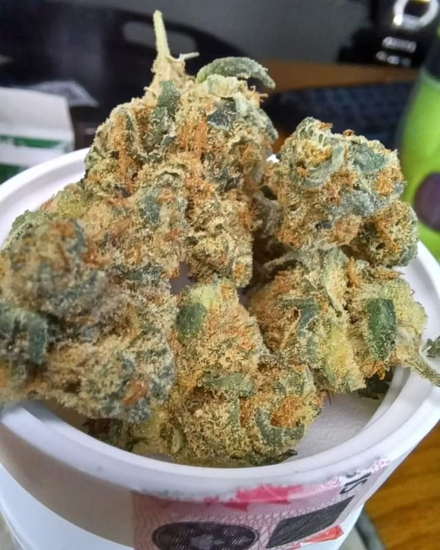 Lemon Zkittles THCa Flower