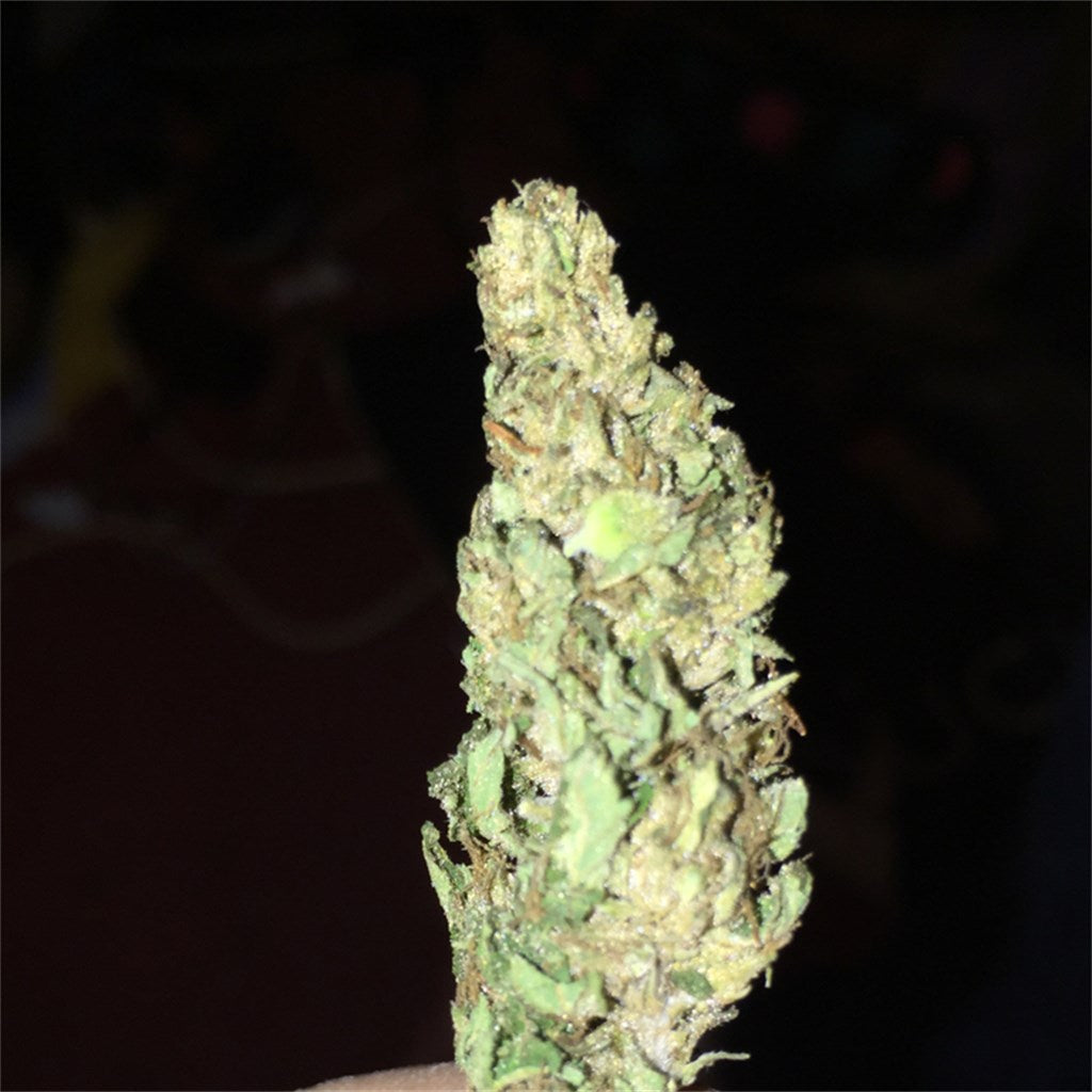 Legendary Kush THCa Flower