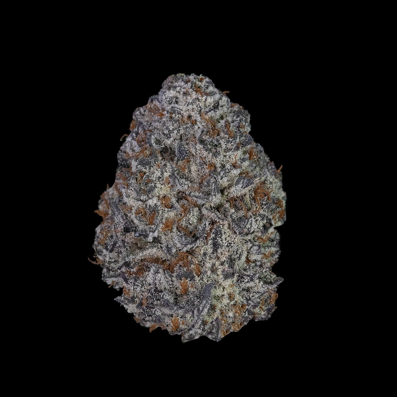 Purple Punch THCa Flower